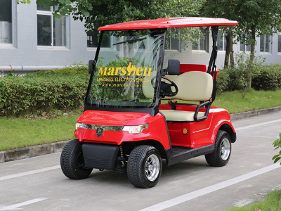 DG-LSV2-2二座低速道路車(chē)