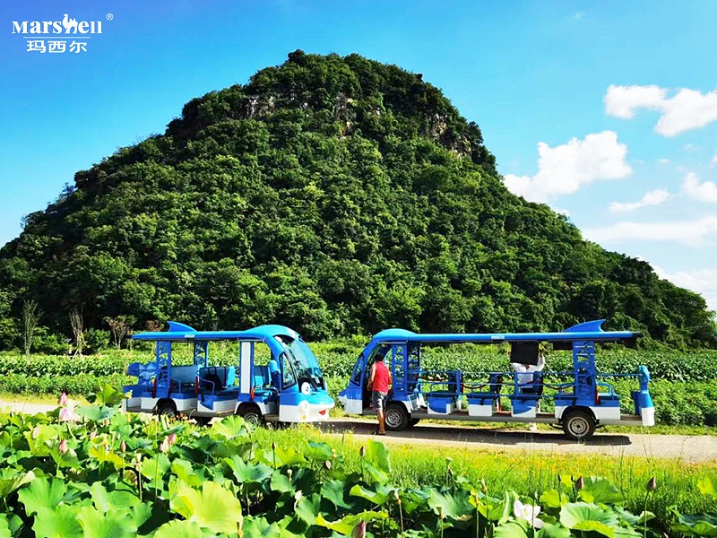 瑪西爾電動造型觀光車
